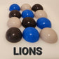 SPORTS: NFL NFC NORTH (Ganache)