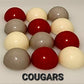 SPORTS: HOUSTON COLLEGE SPORTS
