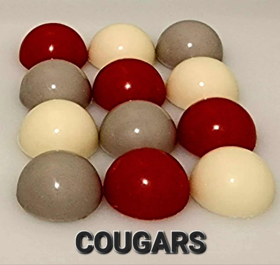 SPORTS: HOUSTON COLLEGE SPORTS